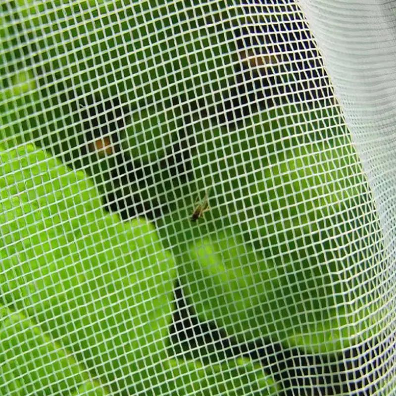 Waarom moet een anti-insectennet in de kas worden gebruikt?