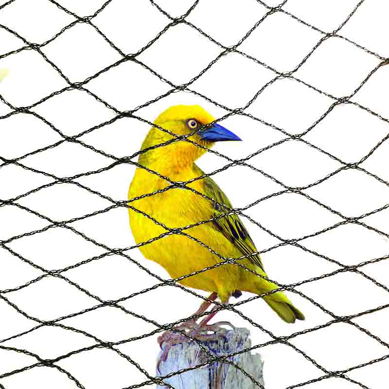 Welke kleuren zijn geschikt voor antivogelnetten?