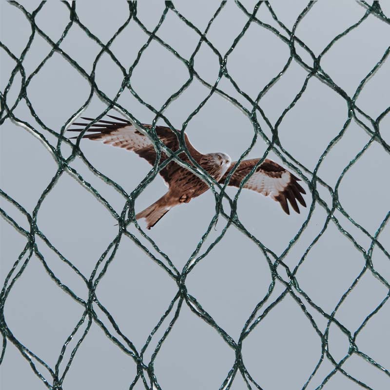 Wat zijn de materiaalkeuzes en voor- en nadelen van vogelpreventienetten?