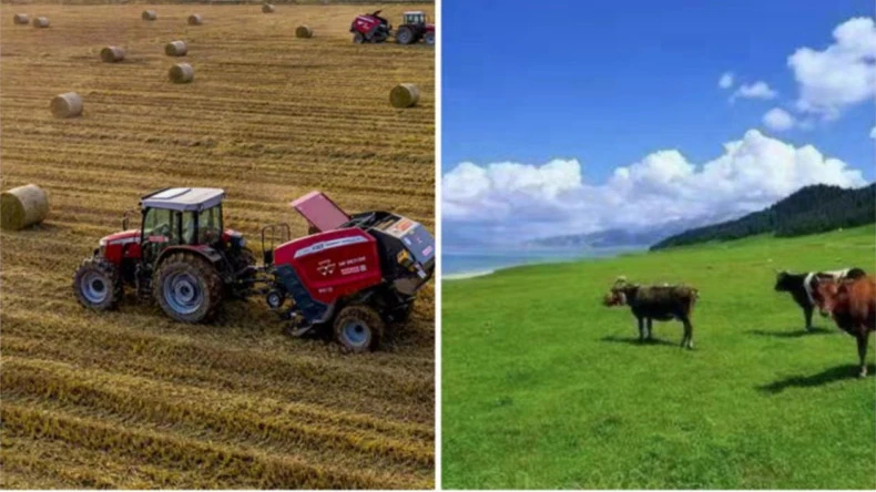 De toepassing van balennetwikkeling bij agrarische activiteiten