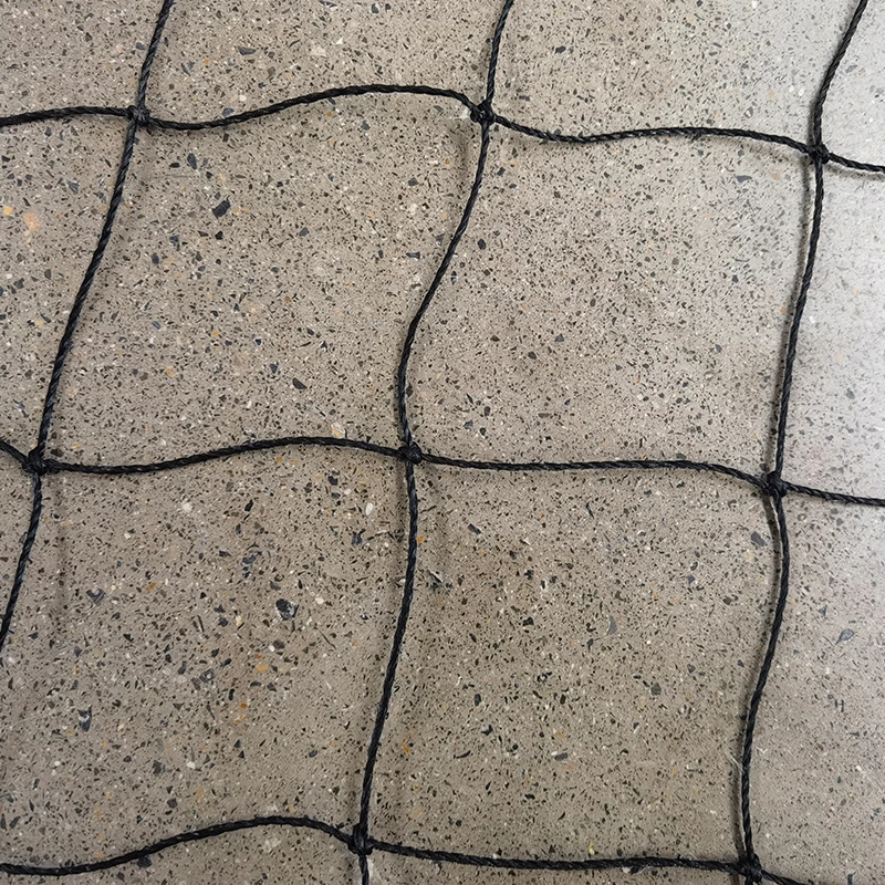 De rol van cricketnetten