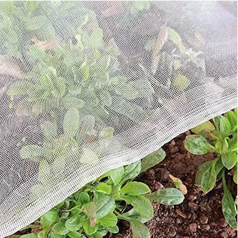 Hoe kies je een anti-insectennet?