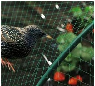 Anti Vogelnet Voor Balkon