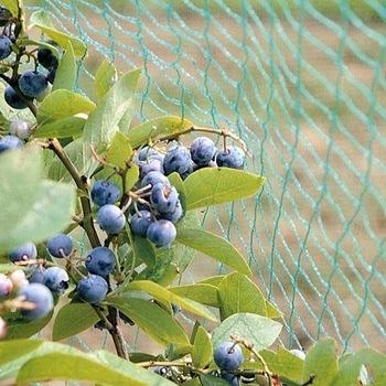 Anti-vogelbeschermingsnet