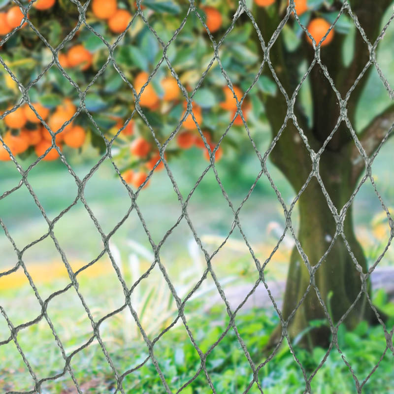 Vogelnetten Dierenbarrières