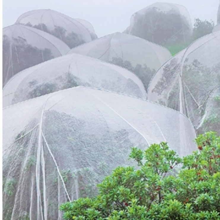 Boerderij insectennet