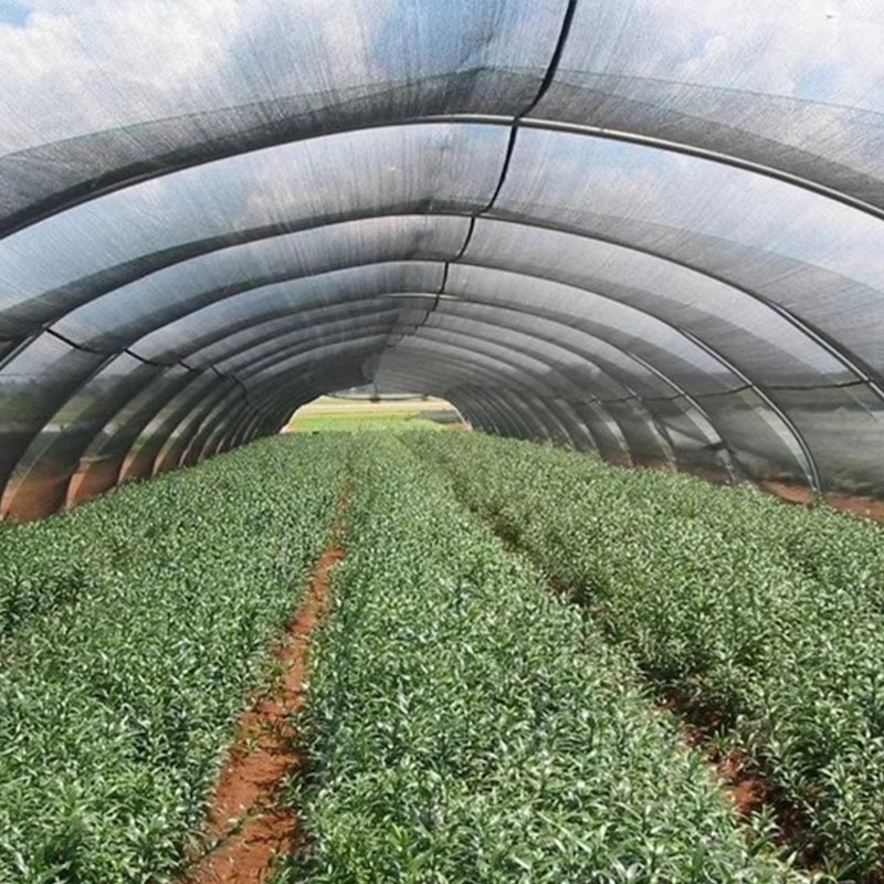 Tuinschaduwdoek voor planten 40% zonneschijn geblokkeerd