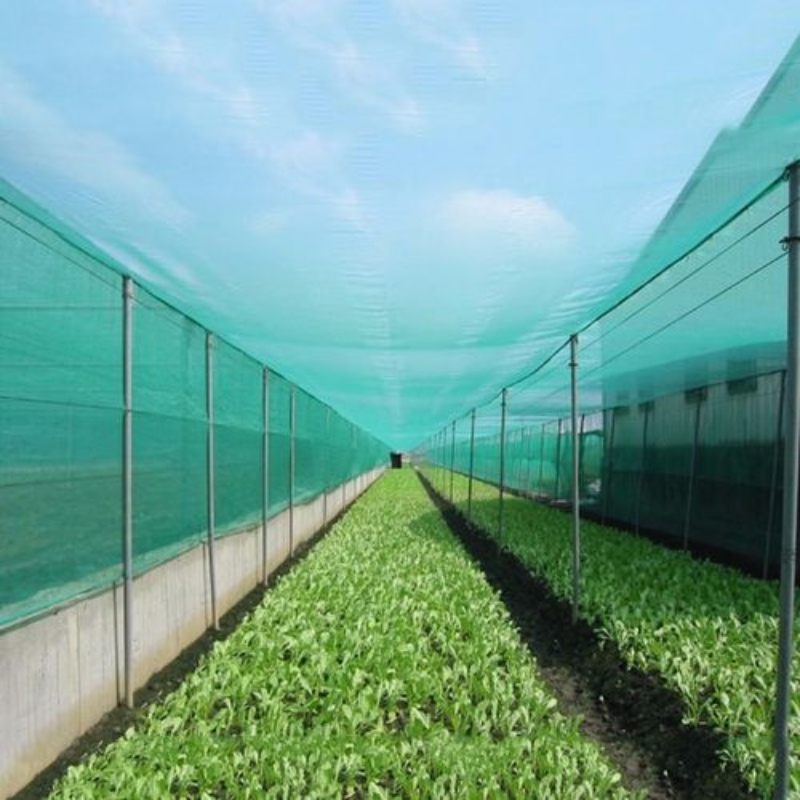 UV-anti-insectennet